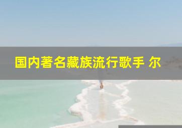 国内著名藏族流行歌手 尔